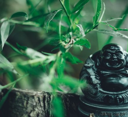 Quelle religion pratiquait Bouddha ?